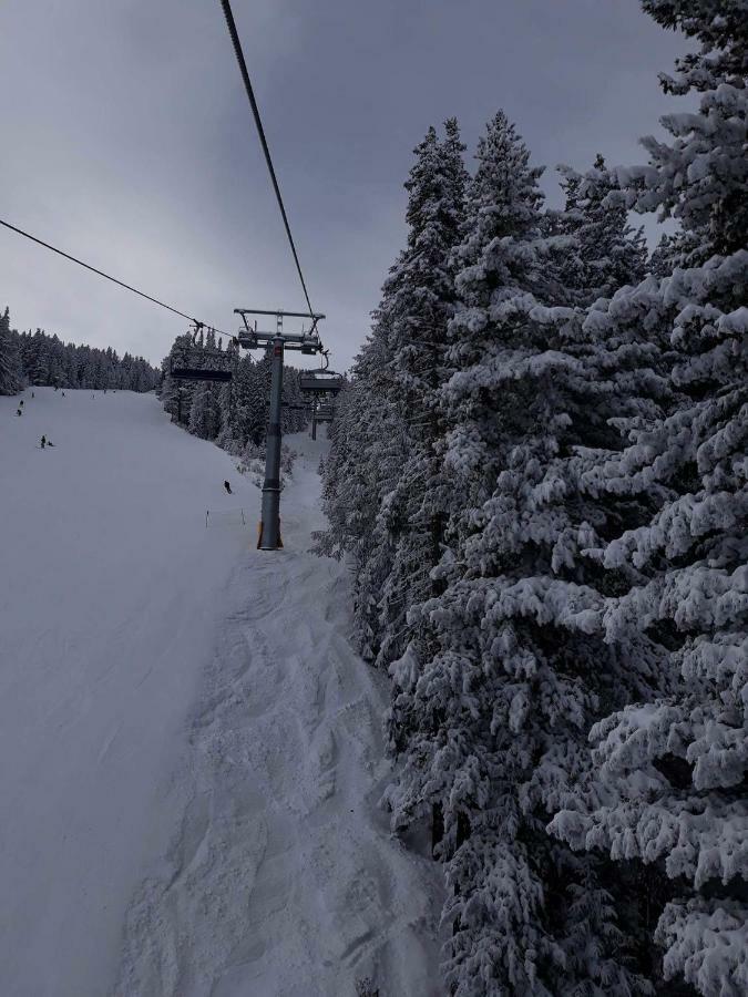 Mamin Kolio Bansko